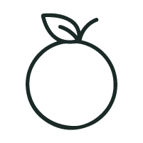 1. Materia Prima